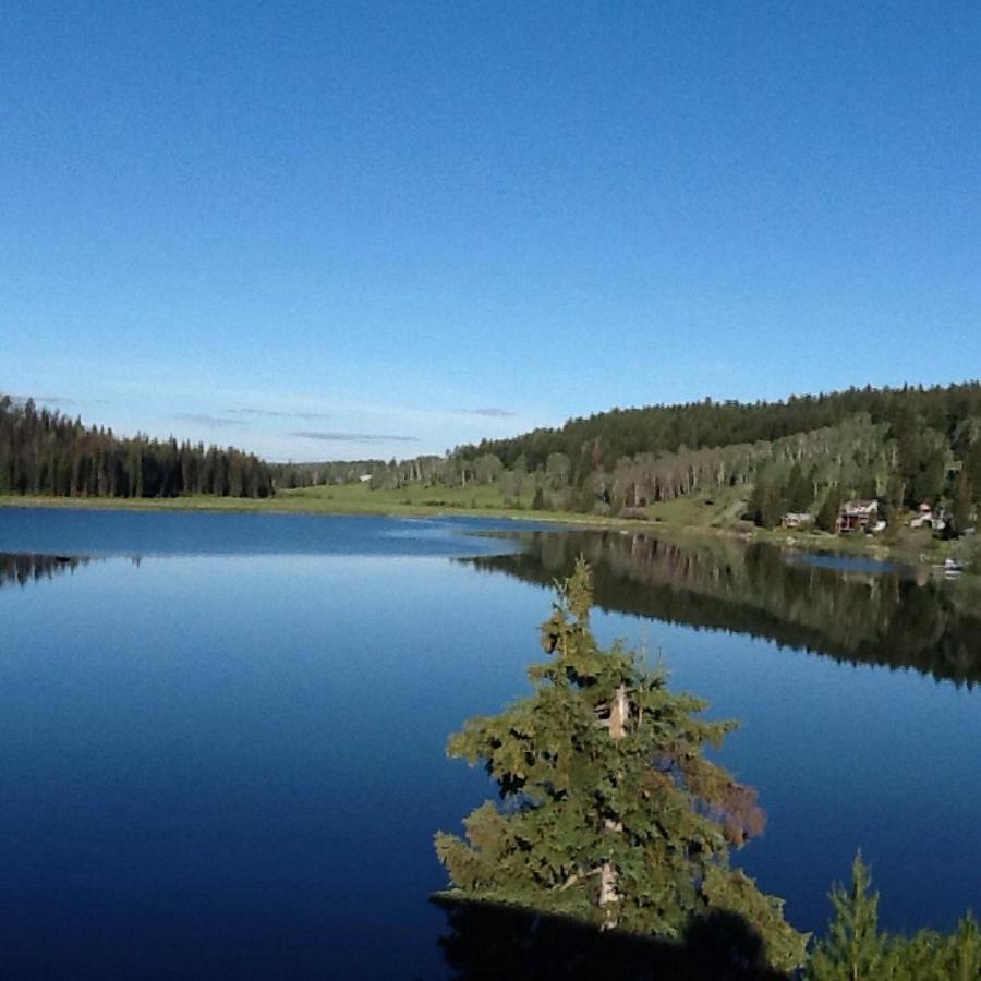 Lac Le Jeune Nature Resort Logan Lake Εξωτερικό φωτογραφία