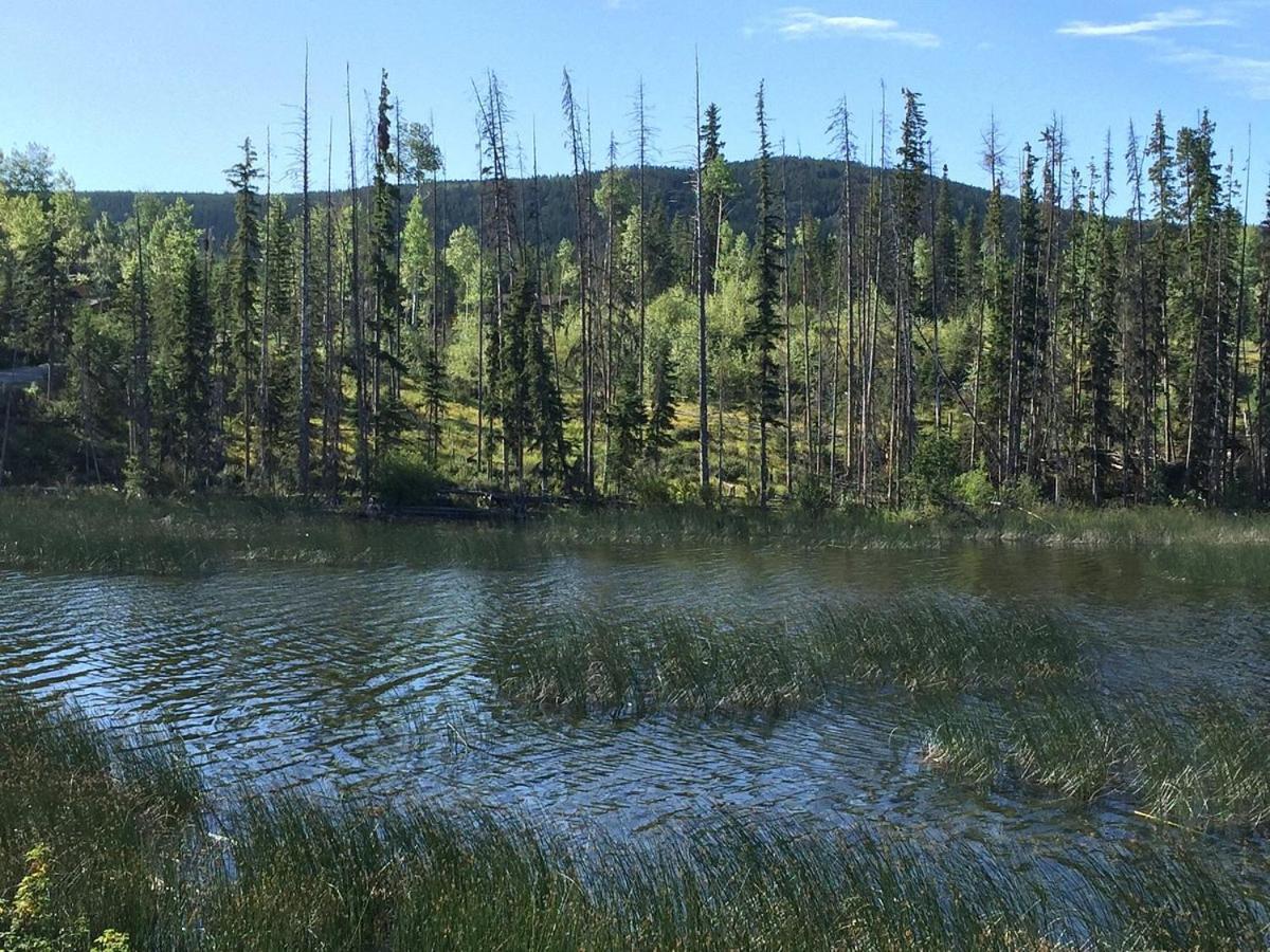 Lac Le Jeune Nature Resort Logan Lake Εξωτερικό φωτογραφία