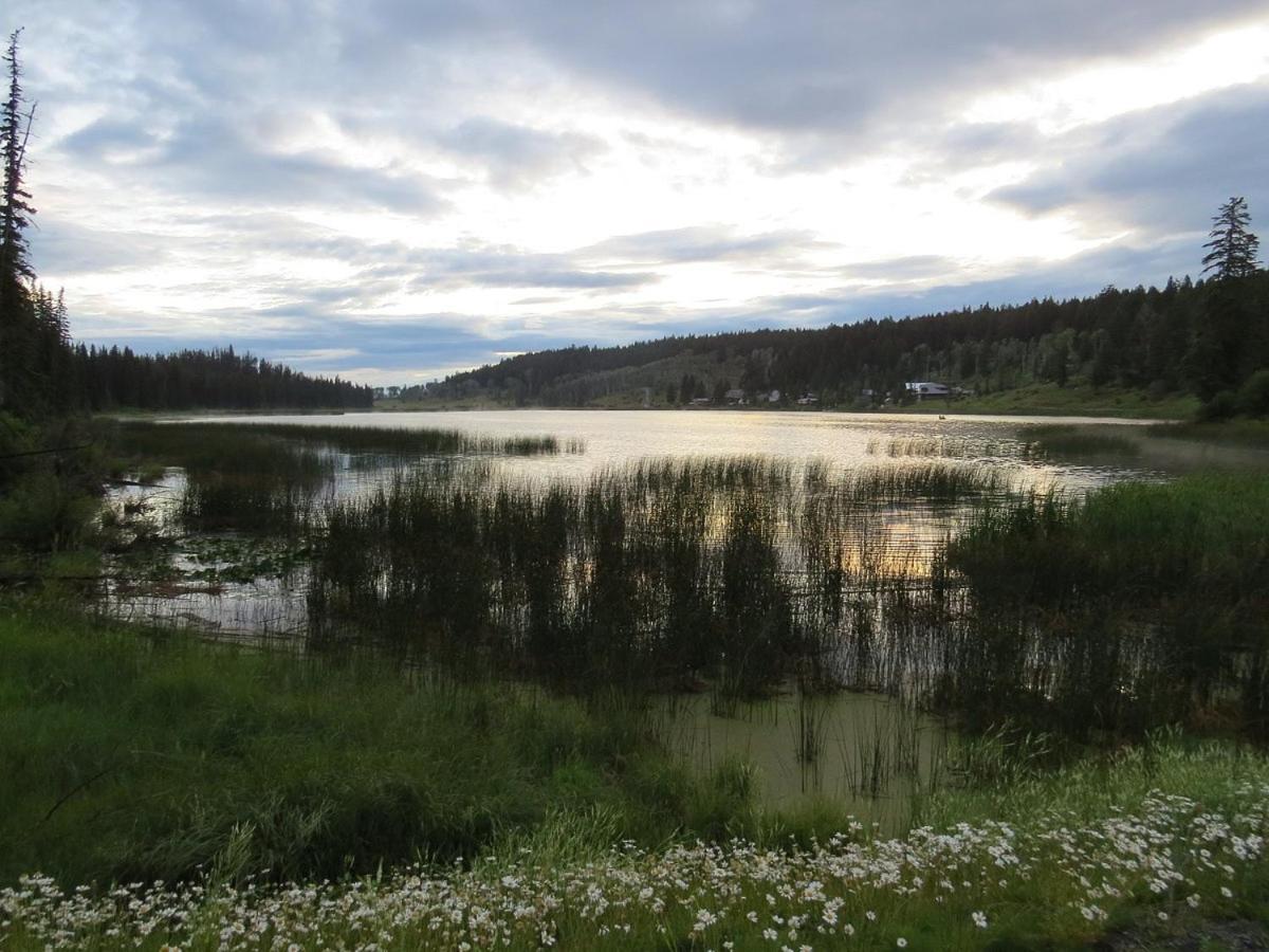 Lac Le Jeune Nature Resort Logan Lake Εξωτερικό φωτογραφία