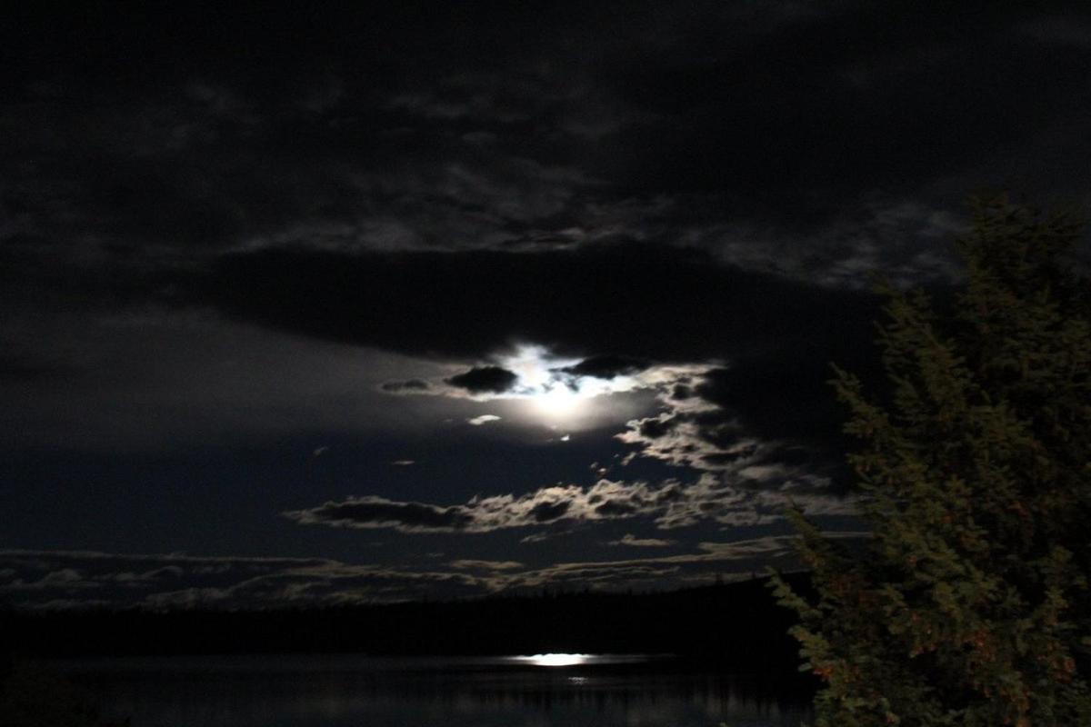 Lac Le Jeune Nature Resort Logan Lake Εξωτερικό φωτογραφία