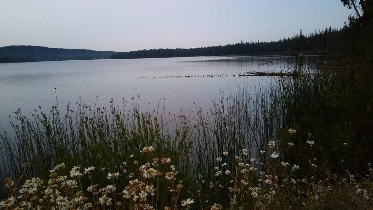 Lac Le Jeune Nature Resort Logan Lake Εξωτερικό φωτογραφία